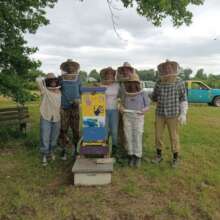 Queen Bee Breeding for Sustainable Livelihoods