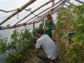 Monitoring of livelihood projects in Maila