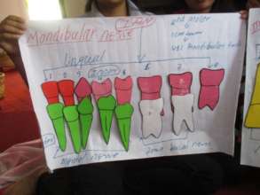 Dental training session
