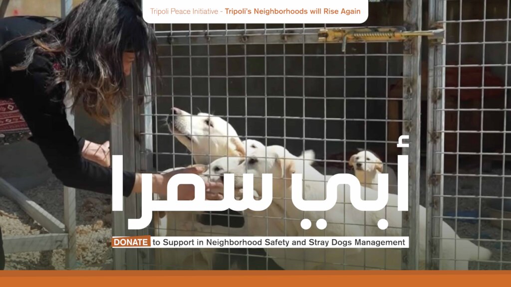 Stray dogs Management Support in Abu Samra
