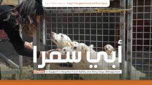 Stray dogs Management Support in Abu Samra