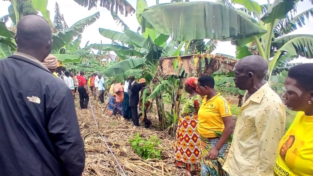 Help 1,000 Ugandan Farmers Grow Food & Plant Trees