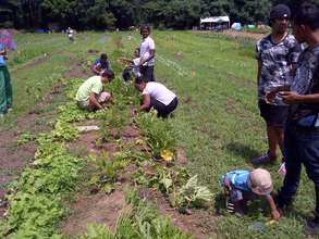 Summer Organic Gardening Program for Kids