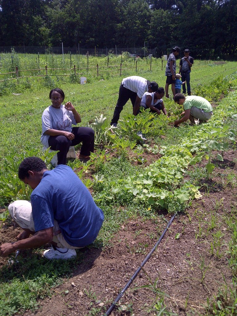 CONFRONTING HUNGER, HOMELESSNESS AND POVERTY