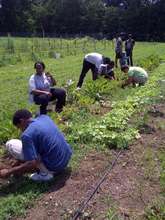 Youth Gardening Project