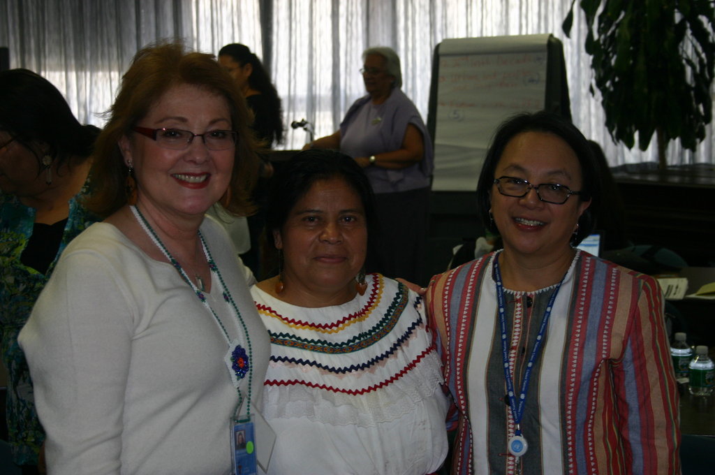 Empower Indigenous Women's Leadership at the UN