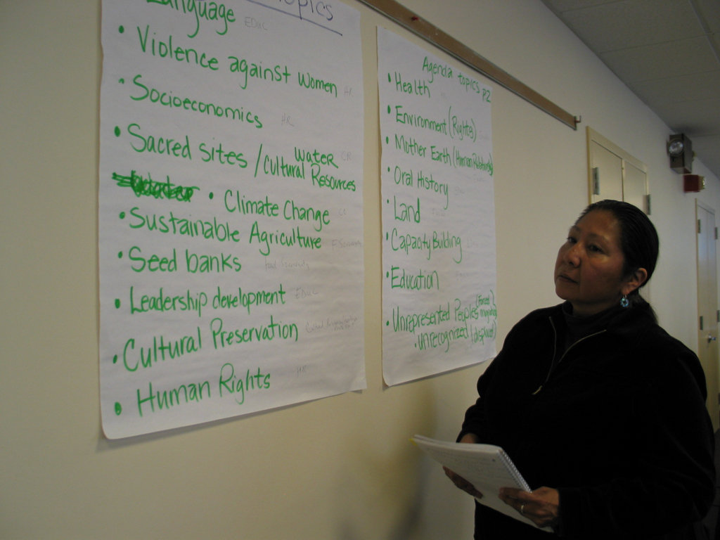 Empower Indigenous Women's Leadership at the UN
