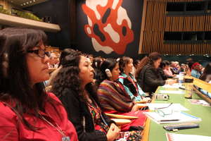 Empower Indigenous Women's Leadership at the UN