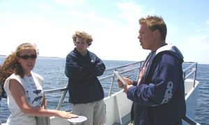 Writing about a whalewatching expedition