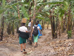 Walking Through Matooke Fields