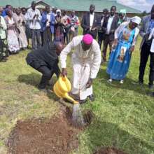 Tree planting moment
