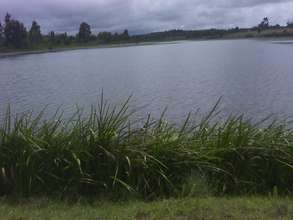 Water source at the dam in Koshyn