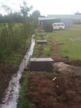 Drainage System