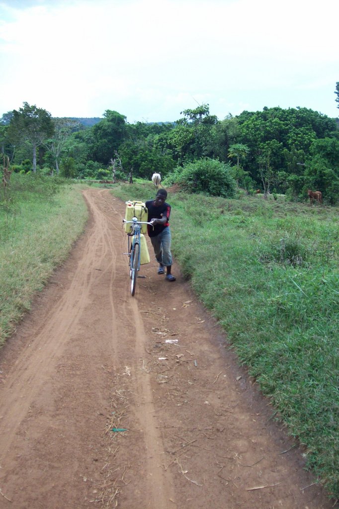 MATEETE RURAL COMMUNITY PARTNERSHIPS PROJECT(MRCP)