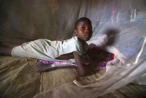 Fighting malaria.