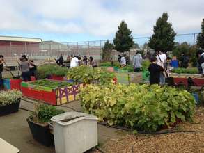 Clearing beds of summer crops