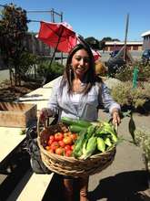 Harvest 2013