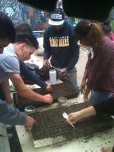 Seeding the next crop