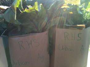 Recycled paper bags for the CSA - simple solutions