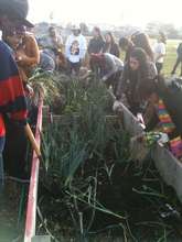 RHS class harvesting for 1st CSA of 2012