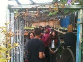 Working our nursery