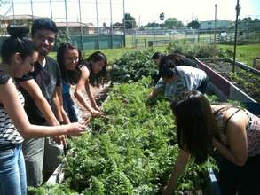 AMAZING SOIL= GREAT CARROTS!