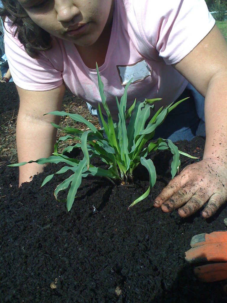 Urban Tilth's Urban Agriculture Institute