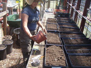 The Greenhouse at our High School Farm