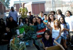 Urban Tilth's Urban Agriculture Institute