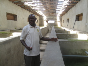 Fish farm at CYDI