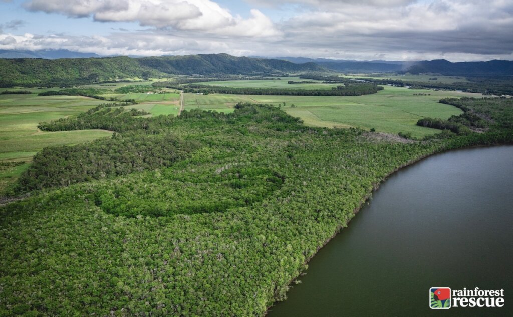 Securing the Oxbow Wetland for Future Conservation