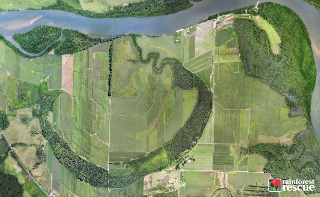 Securing the Oxbow Wetland for Future Conservation