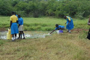 Collecting Water