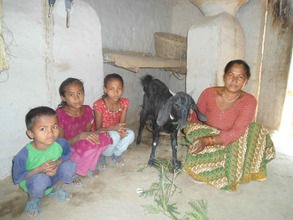 Tharu women with Goat, Dang