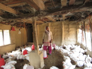 Small Poultry Farm of our one beneficiary