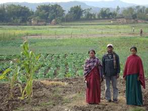 Growing vegetables for sale