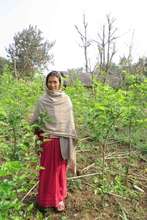 Women in her fodder field