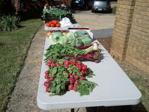 Setting Up for the Market