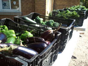Yummy Eggplants