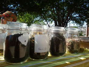 Tea for You