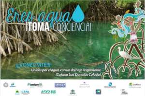 Conserve the water and connect to the drainage
