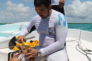 Kim showing fellows how to mark a lobster