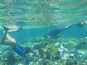 Maricarmen Garcia work on lion fish control