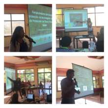 Fellows presenting their projects