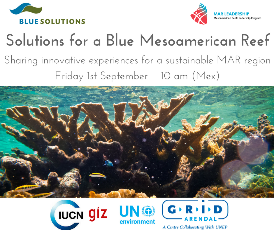 Blue Solutions Webinar