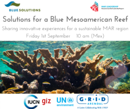 Blue Solutions Webinar