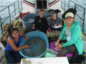 Fellows Ana Giro and Angela Mojica restoring coral
