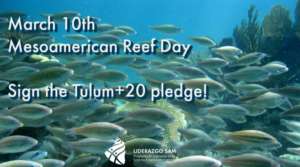 Sign the pledge!