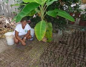 Mariela in the mangrove nursery