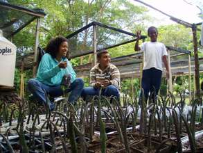 Happy volunteers (and seeds) at the nursery